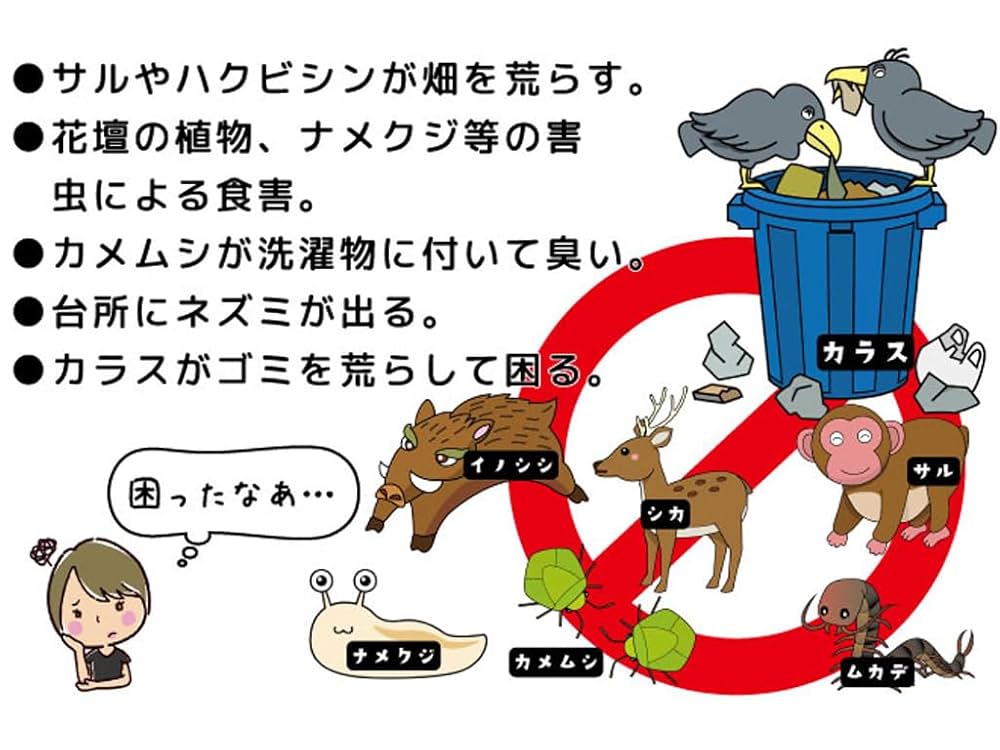 冷凍ヒトデ 61p+Q2b1LJL._AC_SY200_QL15_.jpg